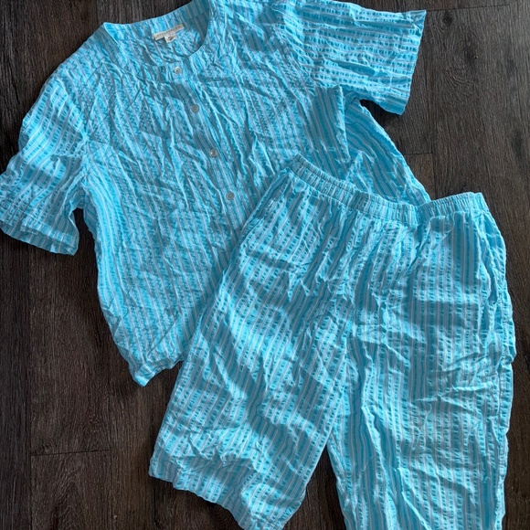 Appleseeds XL top and 14 petite Bermuda shorts matching set - Picture 1 of 8